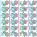 Seamless striped pattern of daisies blue lilac flower