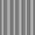 Seamless striped pattern in gray and white