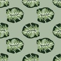 Seamless stylized pattern with creative monstera shapes ornament. Green and black colored ornament on grey background Royalty Free Stock Photo