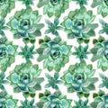 Seamless succulents flowers pattern. Watercolor botanical background with green plants for wrapping paper, textile, home decor