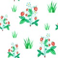 Seamless summer berries pattern with ripe mature red strawberries with grass on wild meadow on white background. Royalty Free Stock Photo