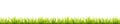 Seamless summer grass panorama. Green springtime herbal lawn. Field or meadow horizontal decoration lines