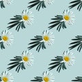 Seamless summer pattern with chamomile flower. White daisy flower on light blue background Royalty Free Stock Photo