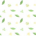 Seamless summer pattern of delicate avocado flowers and leaves