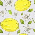 Seamless summer pattern with lemons and flowers