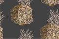 Seamless summer pineapple with gold texture isolated on black background. Seamless pattern in vector. Fruit illustration Royalty Free Stock Photo