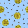 Seamless sunflower pattern with heads and seeds.
