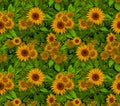 Seamless Sunflower Pattern Vibrant Floral Texture with Green Foliage Background Royalty Free Stock Photo