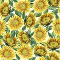 Seamless sunflower