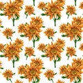 Seamless sunflower watercolor pattern.Bright floral background with yellow and orange flower, green leaf for textile, wallpapers,