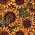 Seamless sunflowers illustration vector pattern. wallpaper design