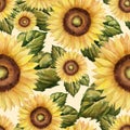 Seamless sunflowers pattern on vintage style collage with old paper Royalty Free Stock Photo