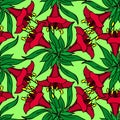 seamless symmetrical graphic pattern of red flowers on a green background, texter Royalty Free Stock Photo