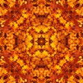 Seamless symmetrical pattern abstract autumn leaves texture Royalty Free Stock Photo