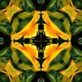 Seamless symmetrical pattern abstract banana leaves texture