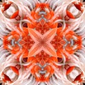 Seamless symmetrical pattern abstract feathers texture