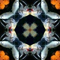 Seamless symmetrical pattern abstract fish in the sea texture