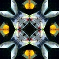 Seamless symmetrical pattern abstract fishes in the ocean texture