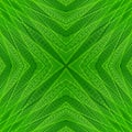 Seamless symmetrical pattern abstract green fibers texture