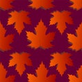 seamless symmetrical pattern of autumn maple leaves on a dark magenta background, texture Royalty Free Stock Photo