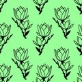 seamless symmetrical pattern of black graphic magnolia flowers on a green background