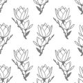 seamless symmetrical pattern of gray graphic magnolia flowers on a white background