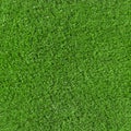 Seamless Synthetic Grass Royalty Free Stock Photo