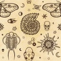 Seamless template: wildlife elements - the shell, trillobit, a butterfly, a skull, a radiolaria, space symbols.