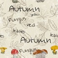 Seamless texture with autumn pattern Royalty Free Stock Photo