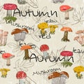 Seamless texture with autumn pattern. Royalty Free Stock Photo
