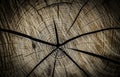 Seamless texture background old wood cracks Royalty Free Stock Photo