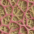 seamless texture of biological tissue under microscope Royalty Free Stock Photo