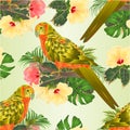 Seamless texture bird Sun Conure Parrot , home pet , parakeet on a branch bouquet with tropical flowers hibiscus, palm,philodendr