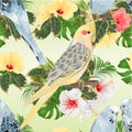 Seamless texture birds corella and Budgerigars blue pets parakeets on a branch bouquet with tropical flowers hibiscus, palm,philo