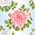 Seamless texture bouquet colored and pink roses and buds on a white background watercolor vintage vector botanical illustration