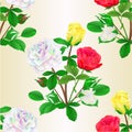 Seamless texture bouquet of roses and rosebuds red white and yellow on   white background watercolor vintage vector botanical Royalty Free Stock Photo