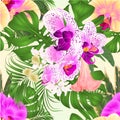 Seamless texture bouquet with tropical flowers floral arrangement, with beautiful purple and white orchid, palm,philodendron and Royalty Free Stock Photo