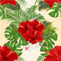 Seamless texture bouquet with tropical flowers floral arrangement, with beautiful red hibiscus and orchid palm,philodendron and f