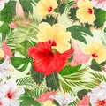 Seamless texture bouquet with tropical flowers pink red yellow and white hibiscus and Brugmansia and palm,philodendron watercolo Royalty Free Stock Photo