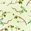 Seamless texture branch various Sprigs twig apple tree and bush vintage