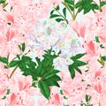 Seamless texture branches colorful and pink rhododendron branches flowers mountain shrub nature background watercolor vintage