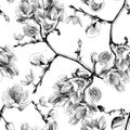 Seamless texture of the branches of the flowering Antigonon leptopus