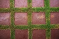 Seamless texture brown concrete pavement covered grass. Royalty Free Stock Photo