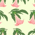 Seamless texture Brugmansia suaveolens medicinal flower pink Angel`s Trumpet vintage vector illustration editable Royalty Free Stock Photo