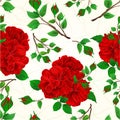 Seamless texture buds red roses and buds cracks in the porcelain vintage vector illustration editable Royalty Free Stock Photo