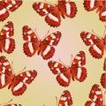 Seamless texture butterfly Limenitis camilla vector
