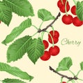 Seamless texture Cherry leaves and branch fruit healthy eating vintage vector illustration editable