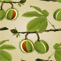 Seamless texture Chestnut tree conkers with leaves vintage fall background vector editable hand draw Royalty Free Stock Photo