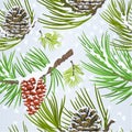 Seamless texture Christmas decoration snow pine cone fir tree branches vintage vector illustration editable Royalty Free Stock Photo