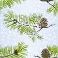 Seamless texture Christmas and New Year decoration pine cone and snow pine cone fir tree branches vintage vector illustration edi Royalty Free Stock Photo